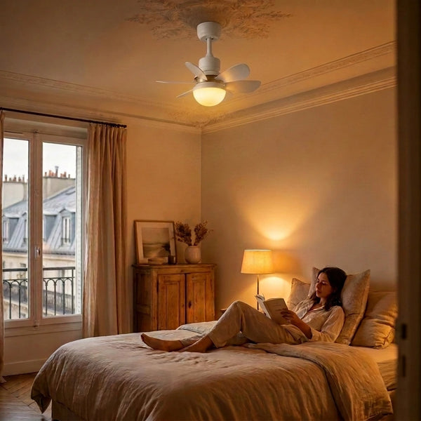 Lumière du soir